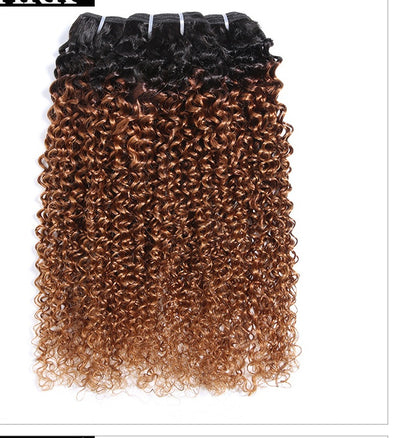 Real Human Hair Wig - European & American Hair Weave