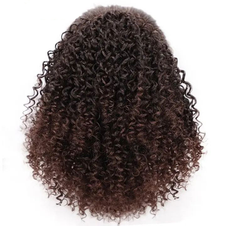 European & American Style Ladies' Wig - Small Curly Hair