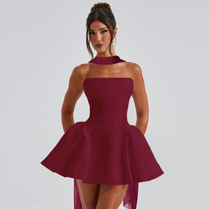 Sexy Tube Top Dress with Back Zipper - Perfect Party Outfit