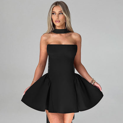 Sexy Tube Top Dress with Back Zipper - Perfect Party Outfit