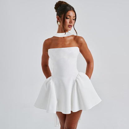 Sexy Tube Top Dress with Back Zipper - Perfect Party Outfit
